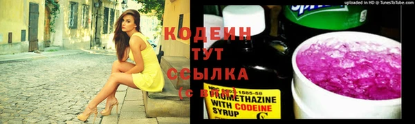 mix Козельск