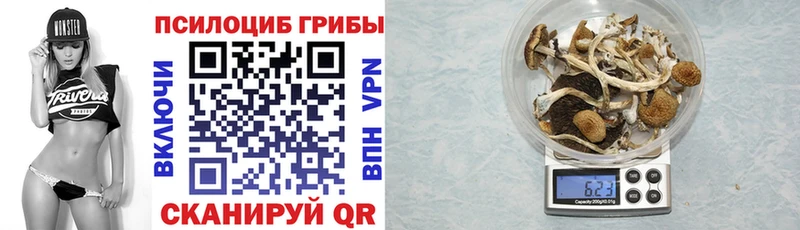 Псилоцибиновые грибы прущие грибы  где купить наркоту  Красный Холм 